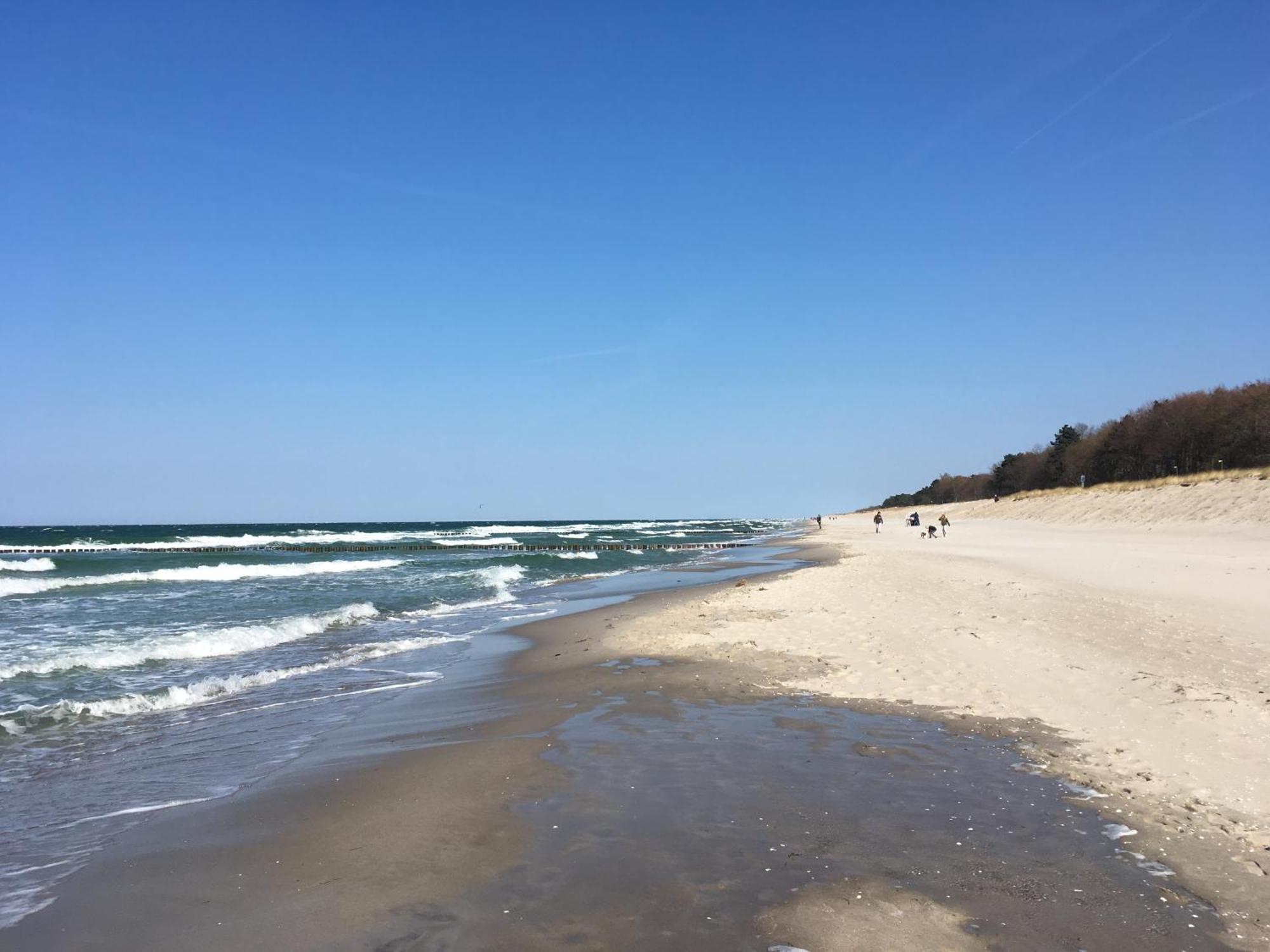 Seepferdchen Zingst Exterior photo