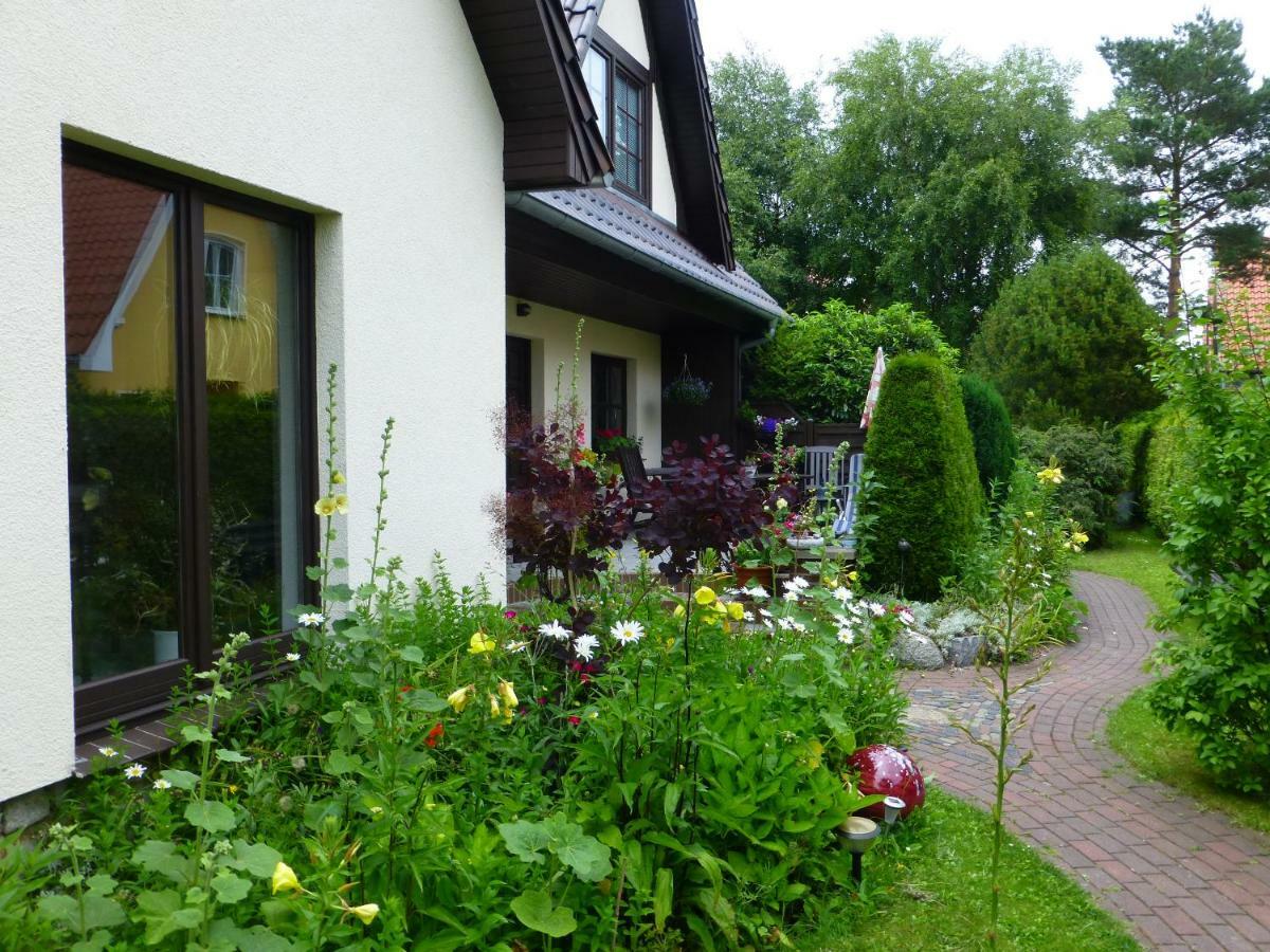 Seepferdchen Zingst Exterior photo
